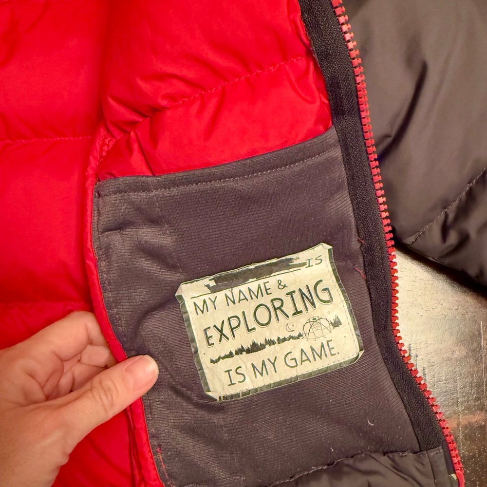 The North Face Gray Puffer Jacket - Picture 5 of 8